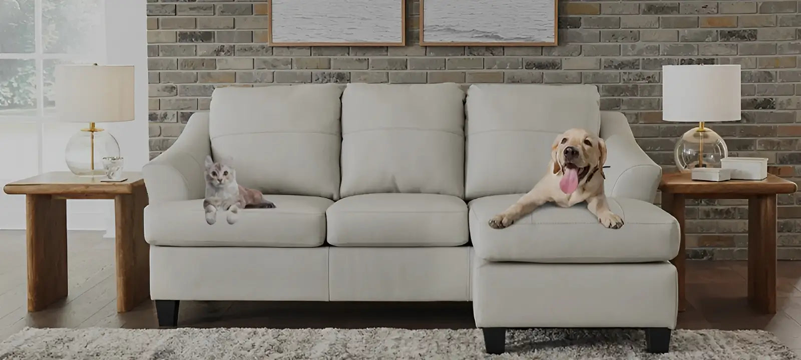 Pet Friendly Sofas