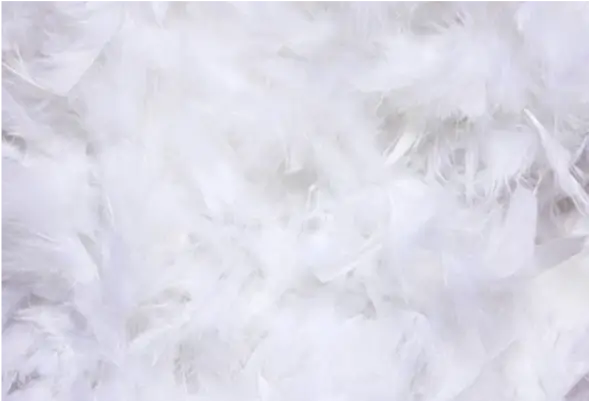 Plush Down Layer