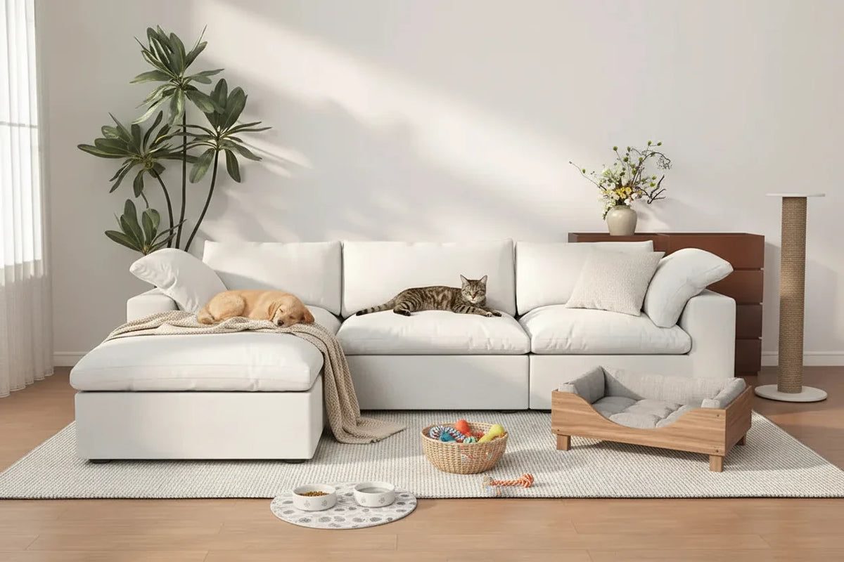 Are There Sofas That Are Pet Friendly Guide WJS Home