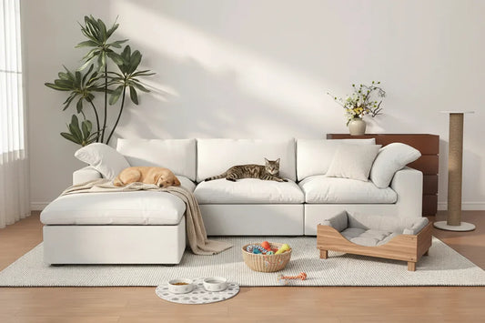 Are There Sofas That Are Pet Friendly?