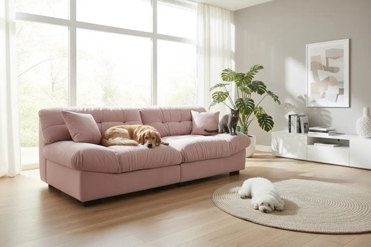 Pet-Friendly Sofa Guide 2026: Everything You Need to Know