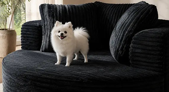 Pet-friendly comfort