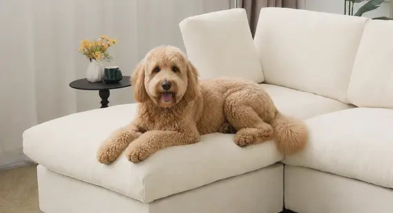 Pet-friendly