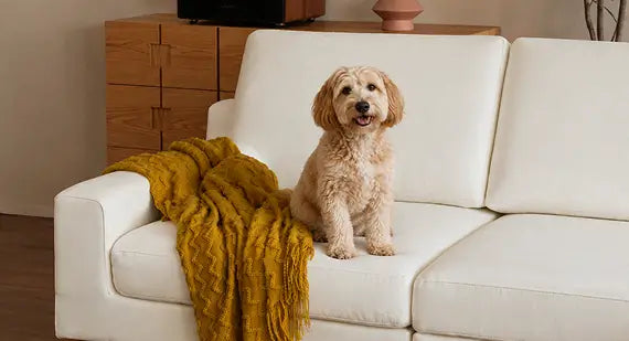 Pet-friendly