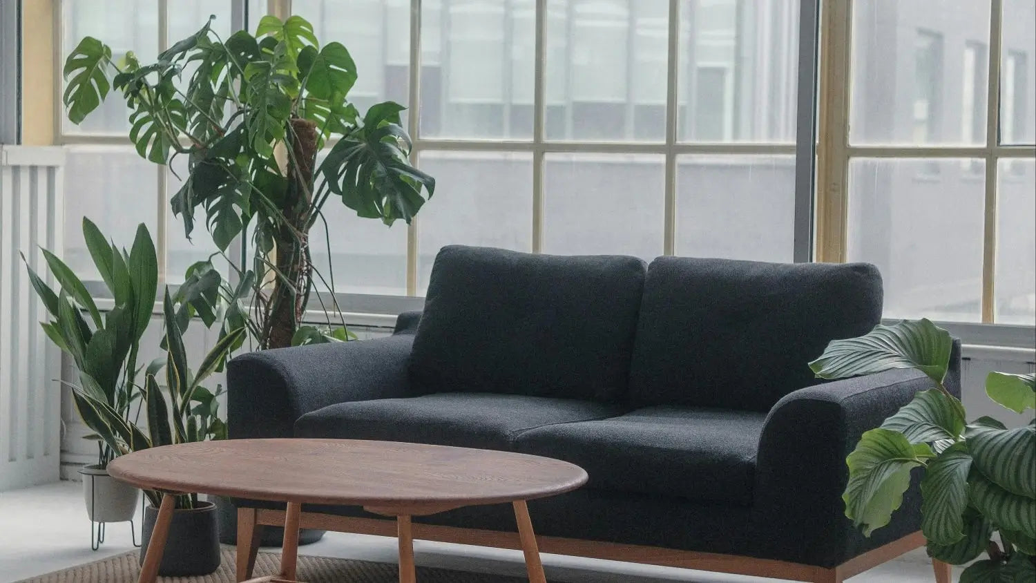 Best Ergonomics Sofa