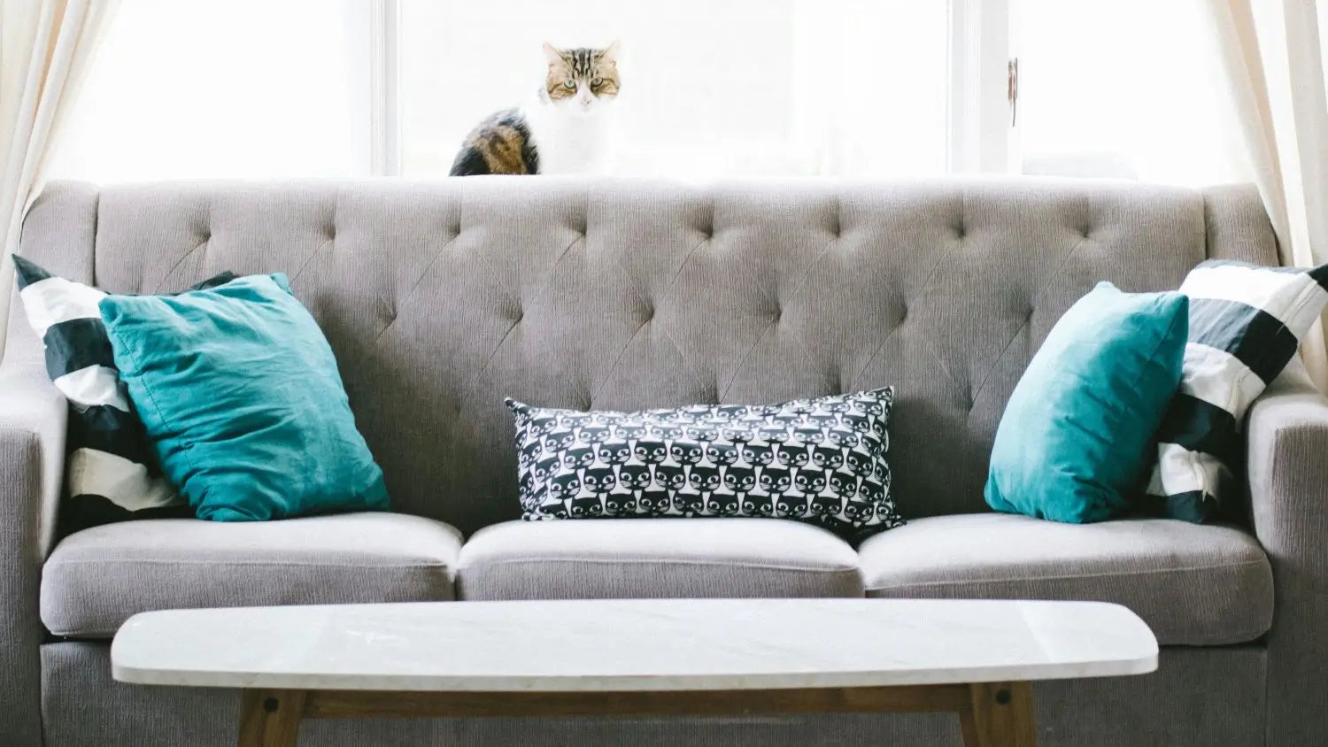 Buying a Sofa