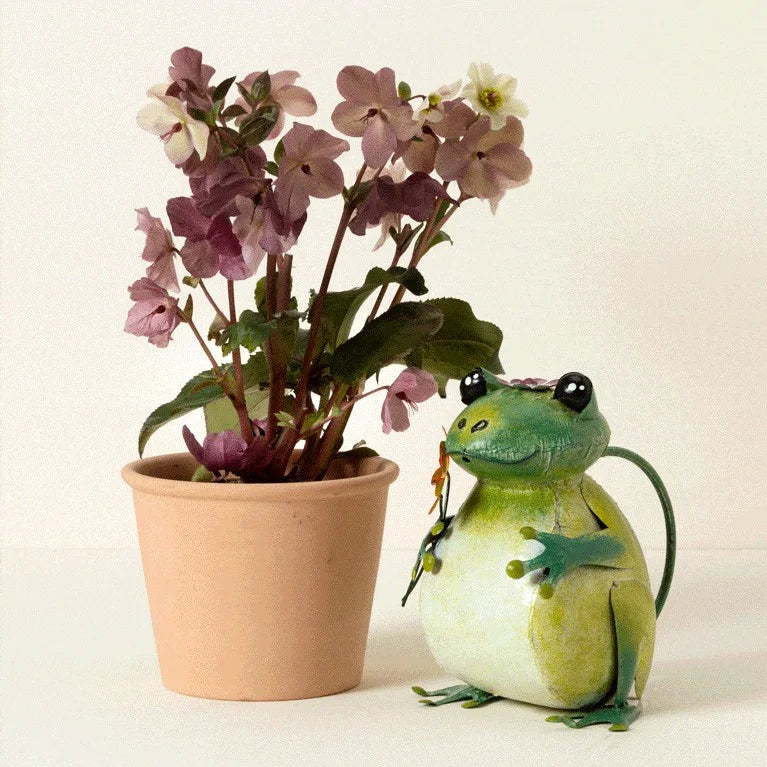 Fred the Frog Watering Can - Best Green Decor Gift