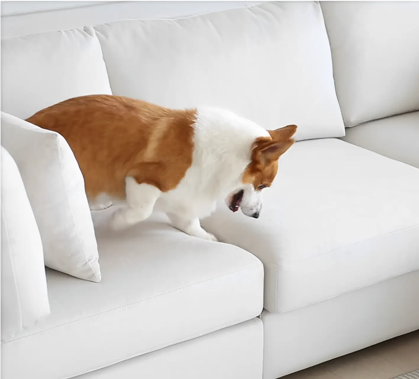 Pet Friendly Sofas