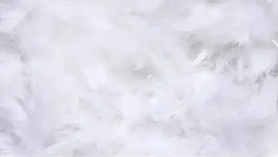 Plush Down Layer