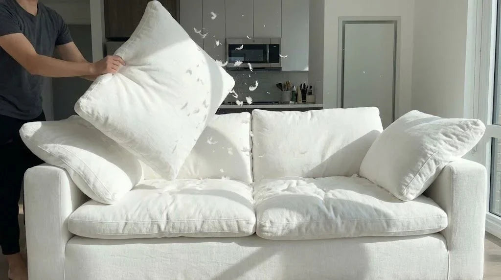 Is Cloud Sofa worth the price Explain High Maintenance _ Reveal Constant Fluffing.png_to_webp