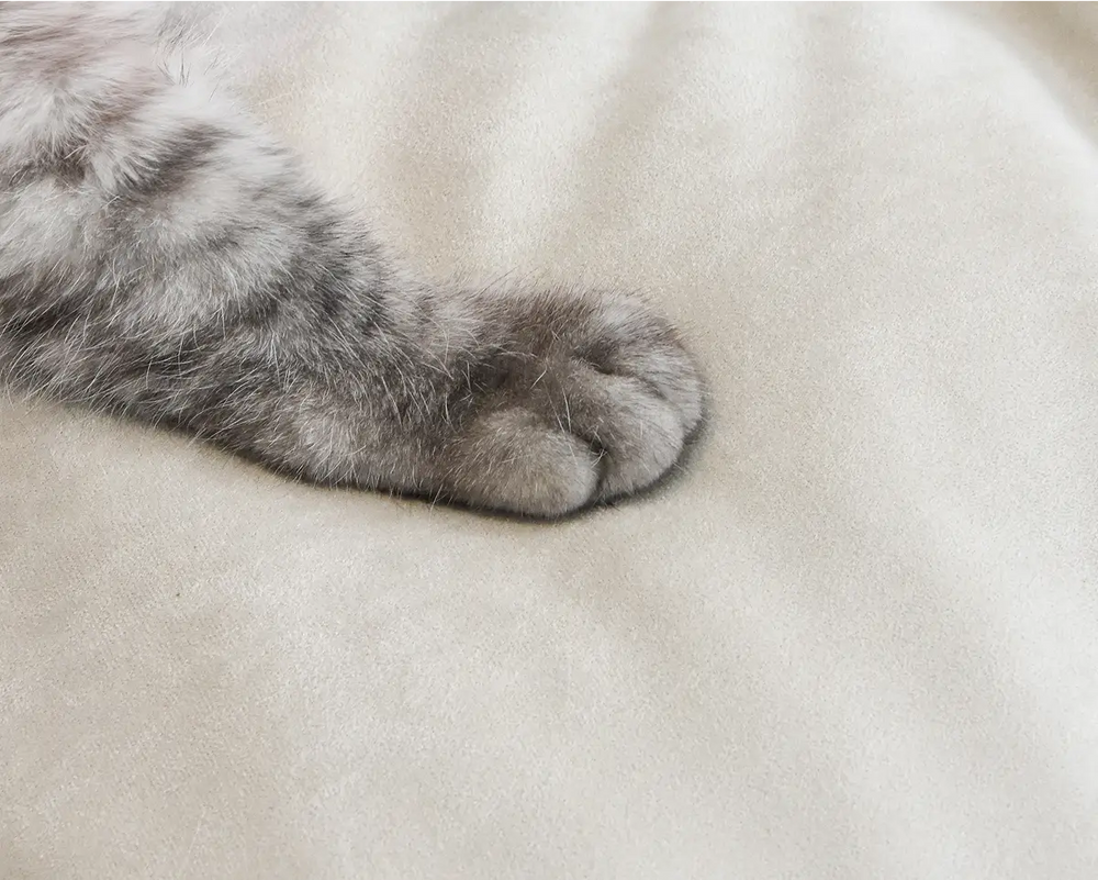 Perfecto para los amantes de las mascotas