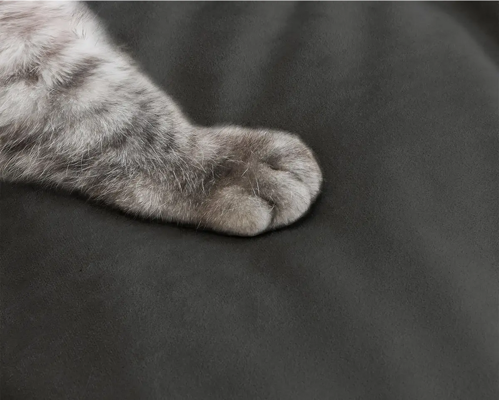 Perfecto para los amantes de las mascotas