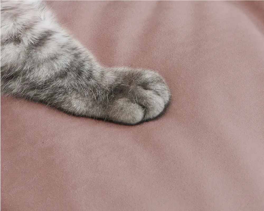 Perfecto para los amantes de las mascotas