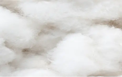 Cotton