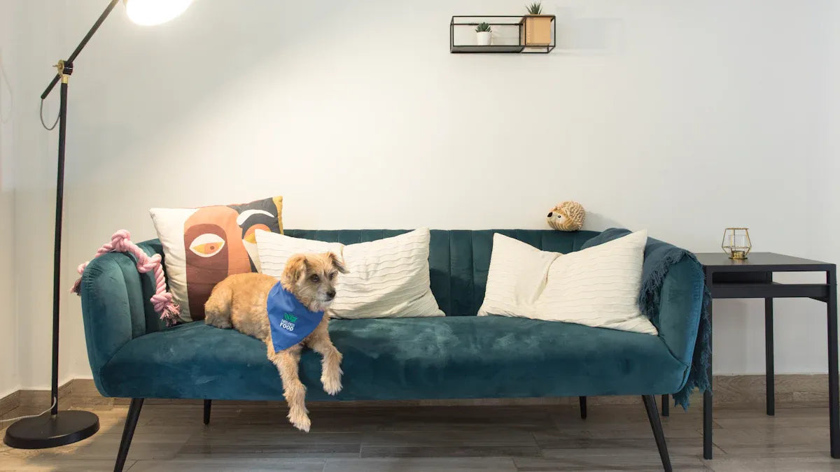 Undersatnding Key Features of Pets Before Buying Pet firendly Sofas