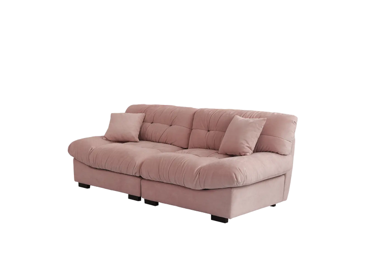Essential 2-Seater pink Frosted Velvet Loveseats | 2-Piece, Frosted Velvet Fabric, Apartment Friendly