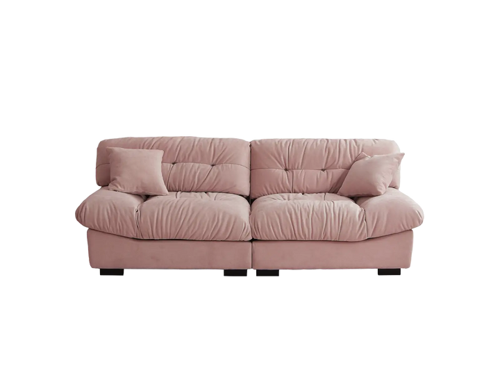 Essential 2-Seater pink Frosted Velvet Loveseats | 2-Piece, Frosted Velvet Fabric, Apartment Friendly